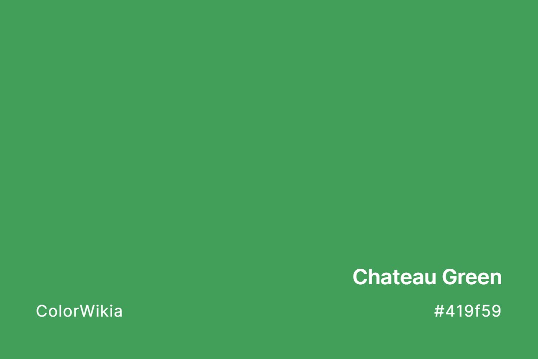 Chateau Green Color – #419f59: Codes and Complete Breakdown