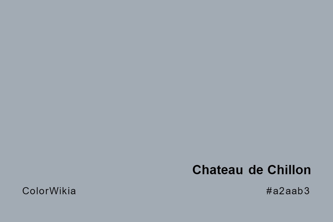 Chateau de Chillon Color – #a2aab3: Codes and Complete Breakdown