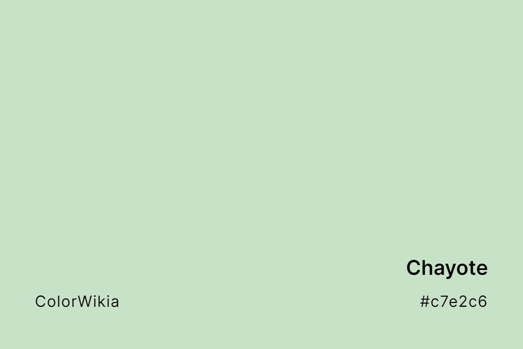 Chayote Color – #c7e2c6: Codes and Complete Breakdown