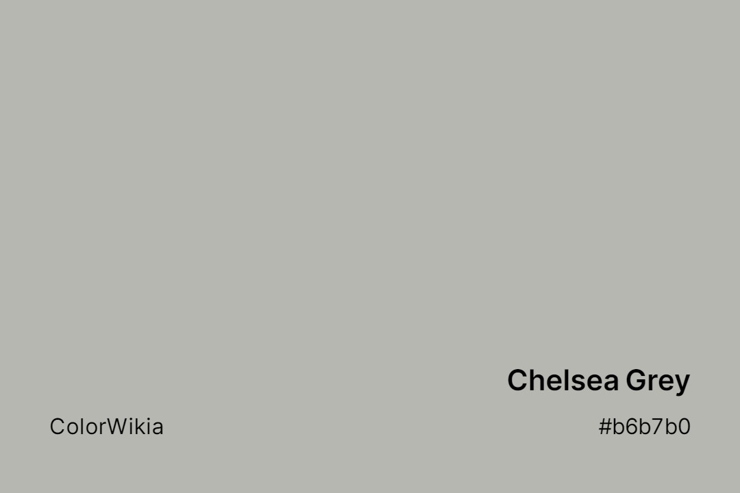 Chelsea Grey Color – #b6b7b0: Codes and Complete Breakdown