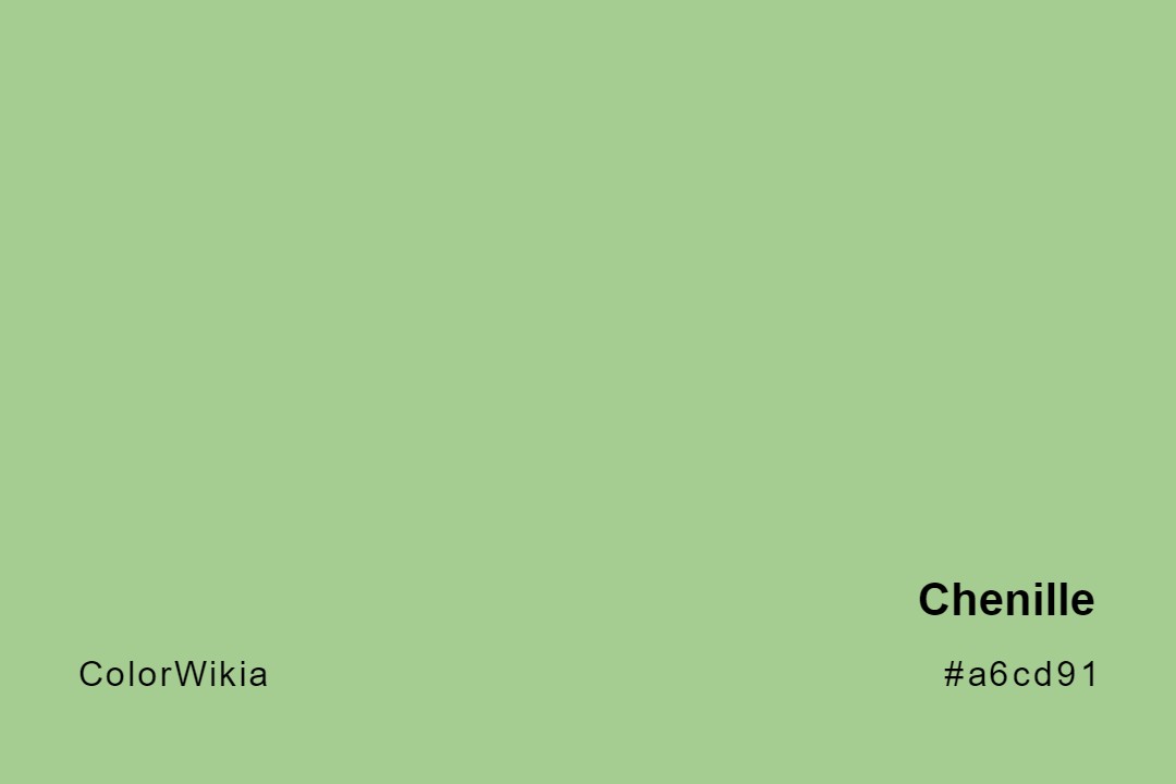 Chenille Color – #a6cd91: Codes and Complete Breakdown
