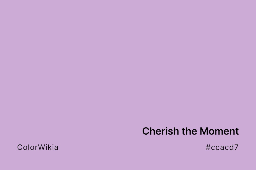Cherish the Moment Color – #ccacd7: Codes and Complete Breakdown