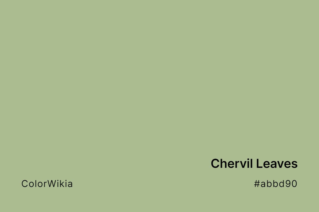 Chervil Leaves Color – #abbd90: Codes and Complete Breakdown