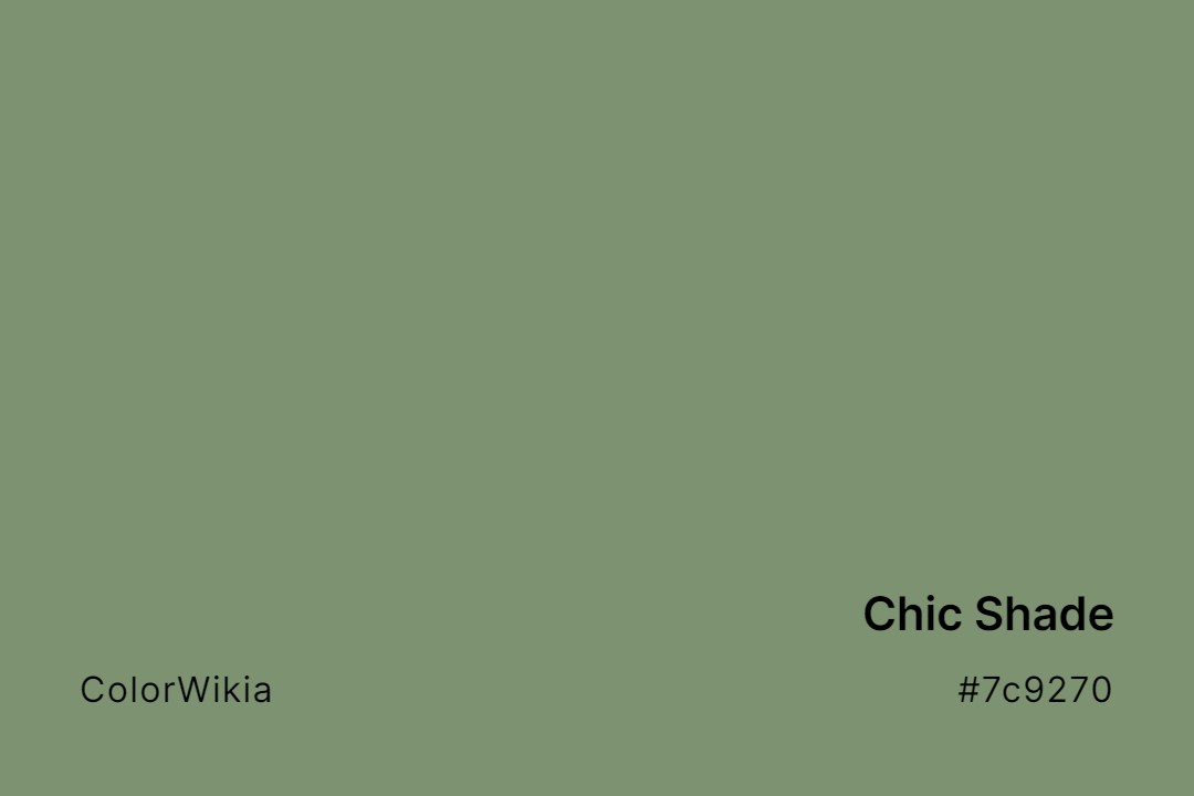 Chic Shade Color – #7c9270: Codes and Complete Breakdown