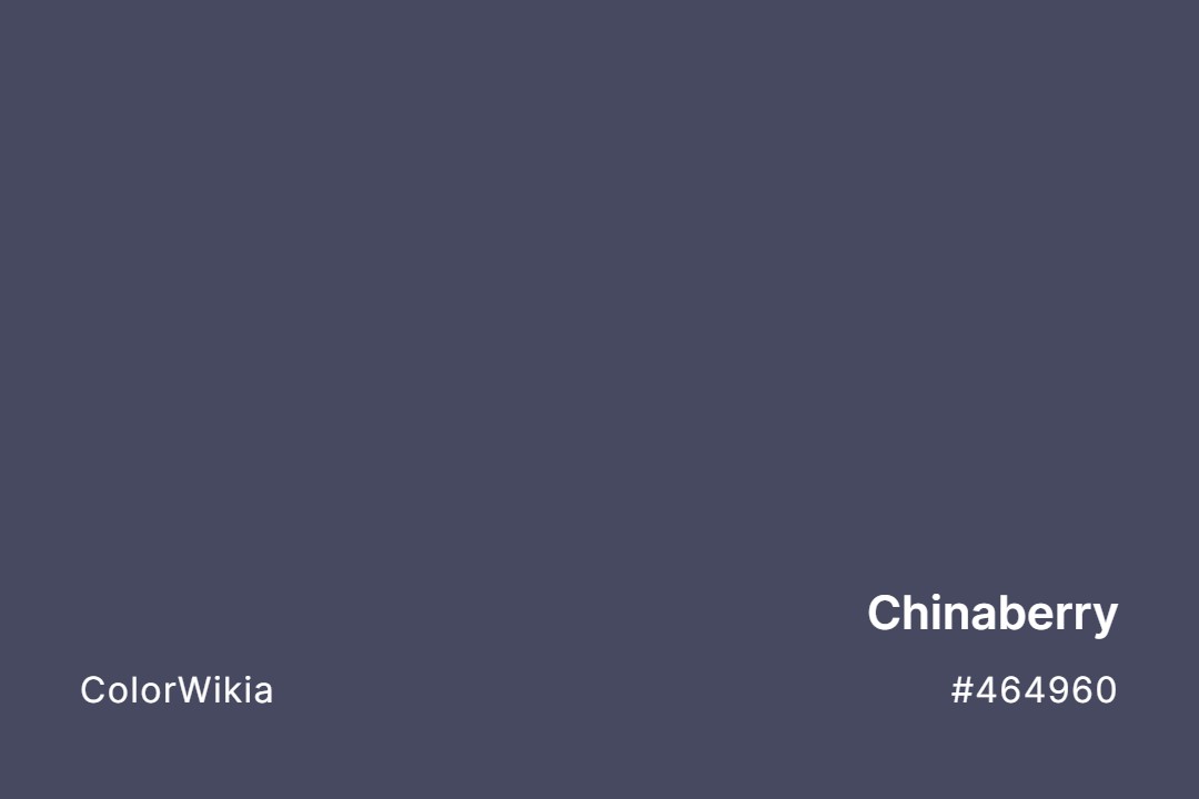 Chinaberry Color – #464960: Codes and Complete Breakdown