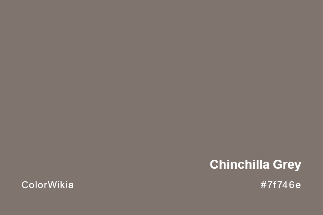 chinchilla grey color 7f746e