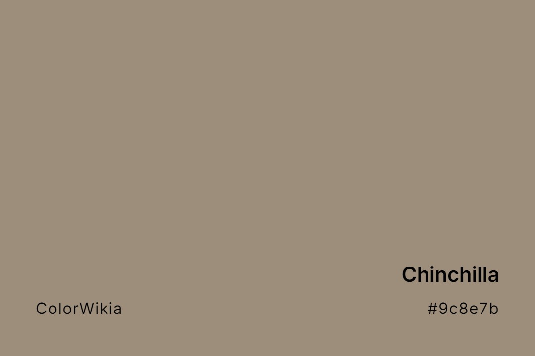 chinchilla color 9c8e7b
