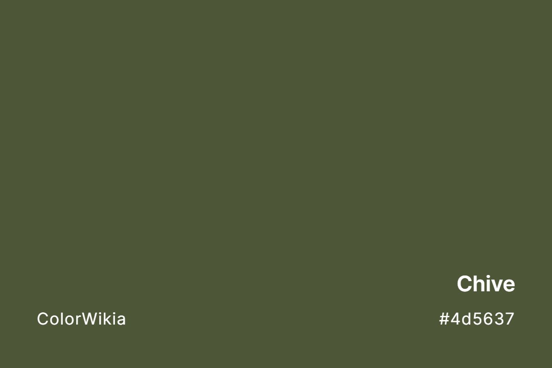 Chive Color – #4d5637: Codes and Complete Breakdown