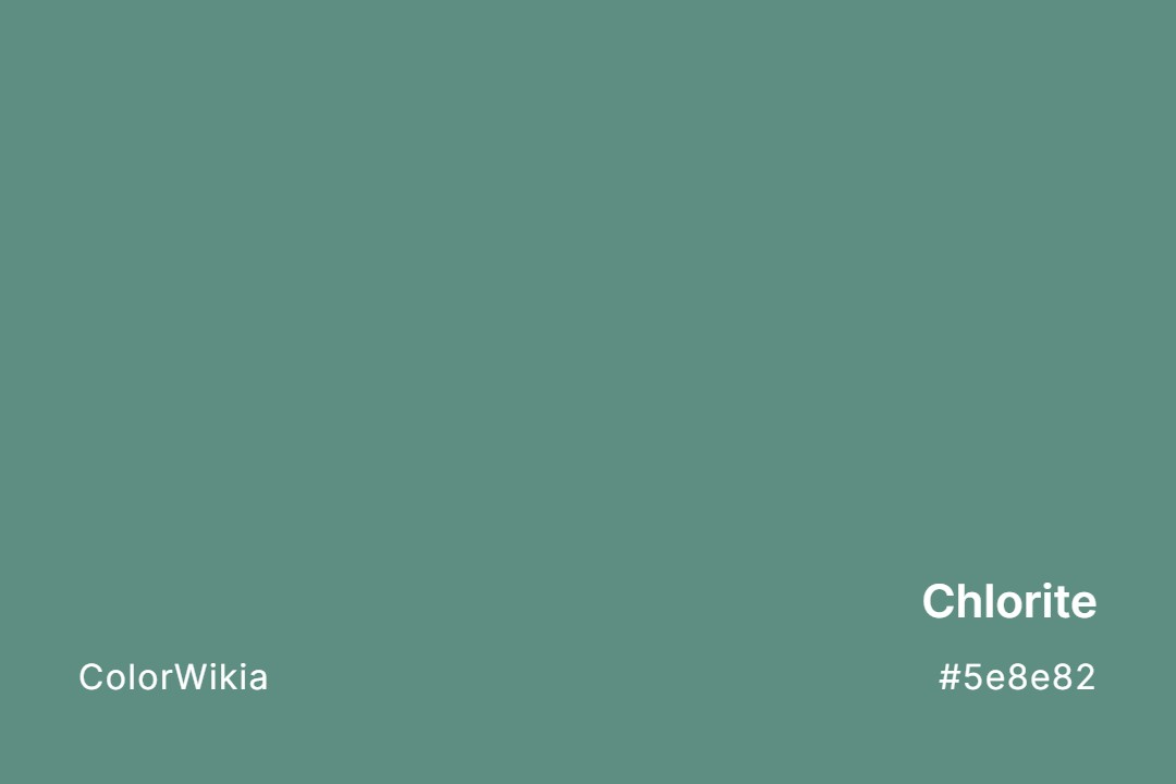 Chlorite Color – #5e8e82: Codes and Complete Breakdown