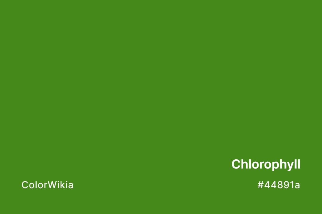 Chlorophyll Color – #44891a: Codes and Complete Breakdown