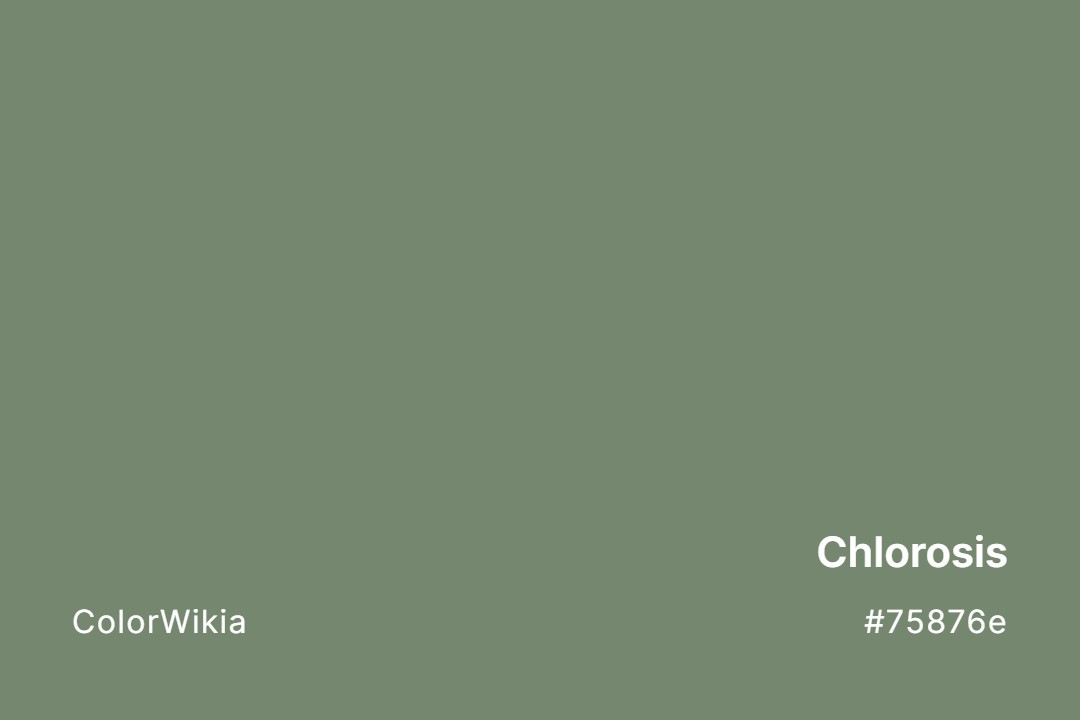 Chlorosis Color – #75876e: Codes and Complete Breakdown