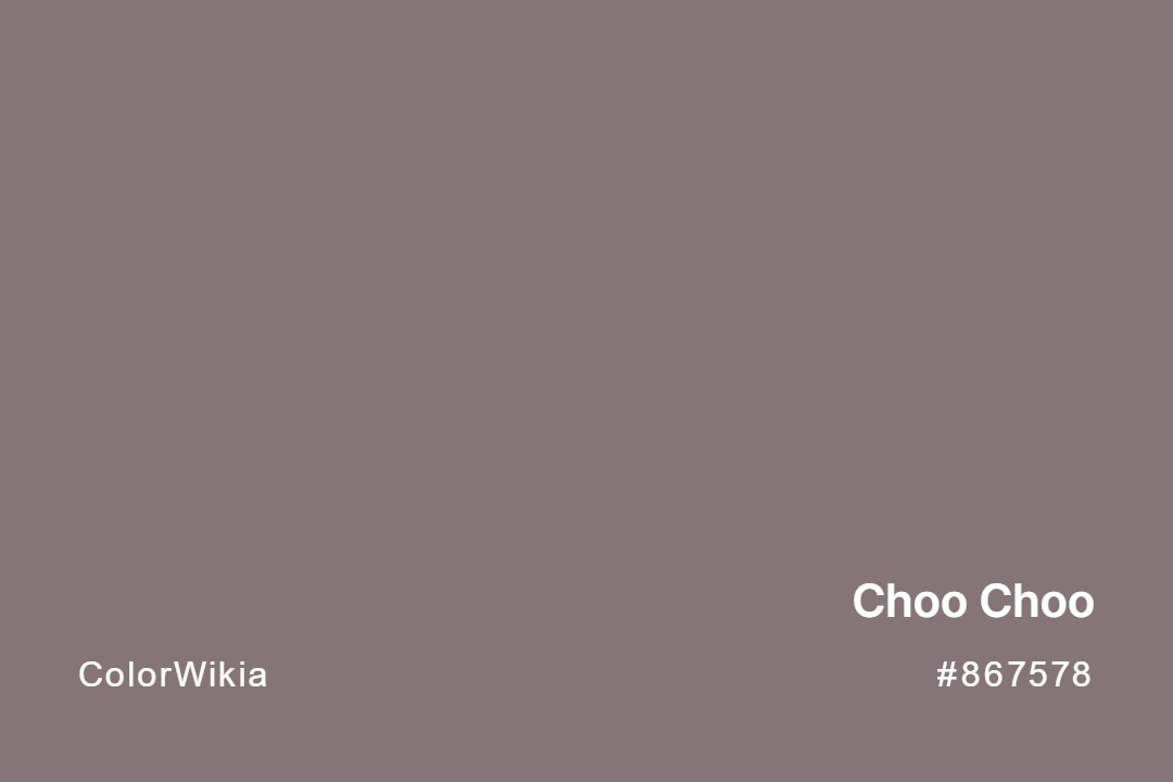 Choo Choo Color – #867578: Codes and Complete Breakdown