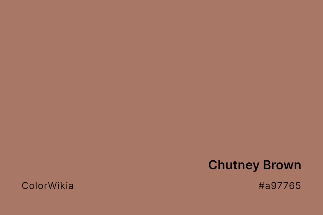 Chutney Brown Color – #a97765: Codes and Complete Breakdown