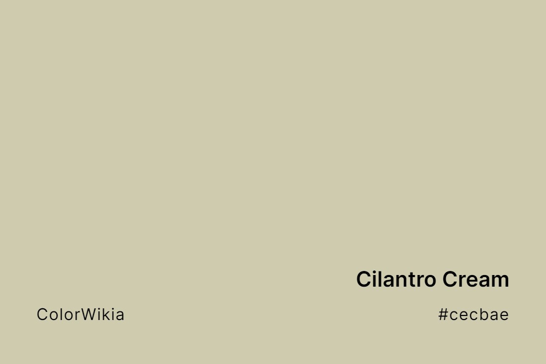 Cilantro Cream Color – #cecbae: Codes and Complete Breakdown