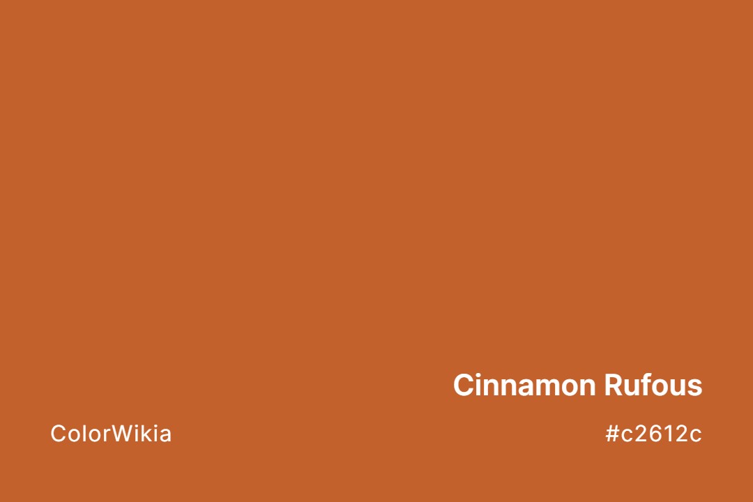 Cinnamon Rufous Color – #c2612c: Codes and Complete Breakdown