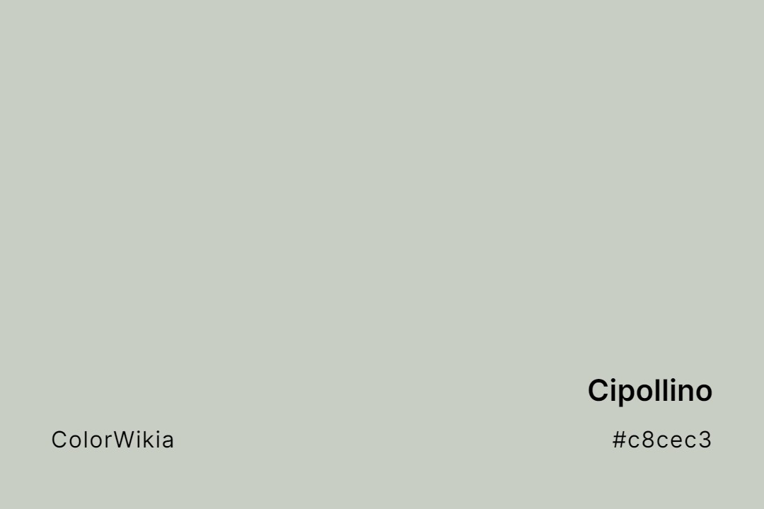 Cipollino Color – #c8cec3: Codes and Complete Breakdown