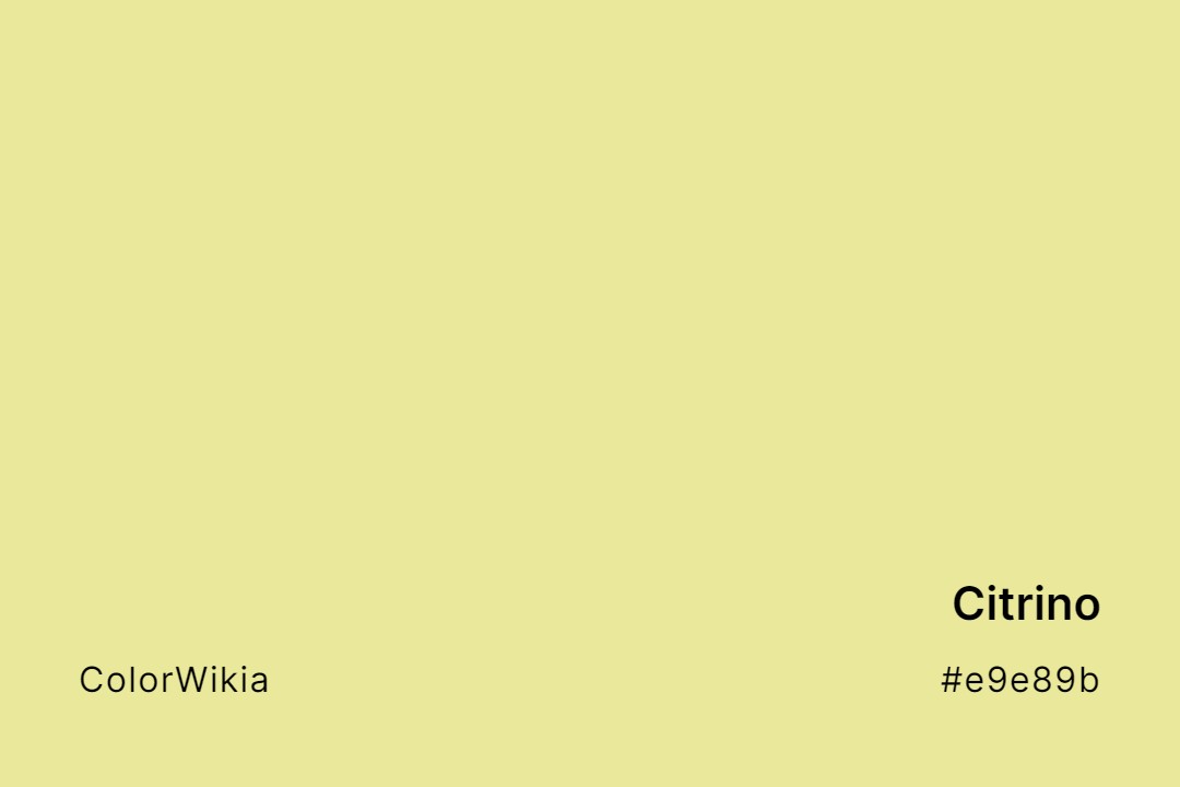 Citrino Color – #e9e89b: Codes and Complete Breakdown