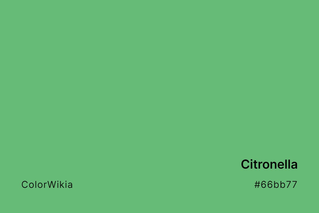 Citronella Color – #66bb77: Codes and Complete Breakdown