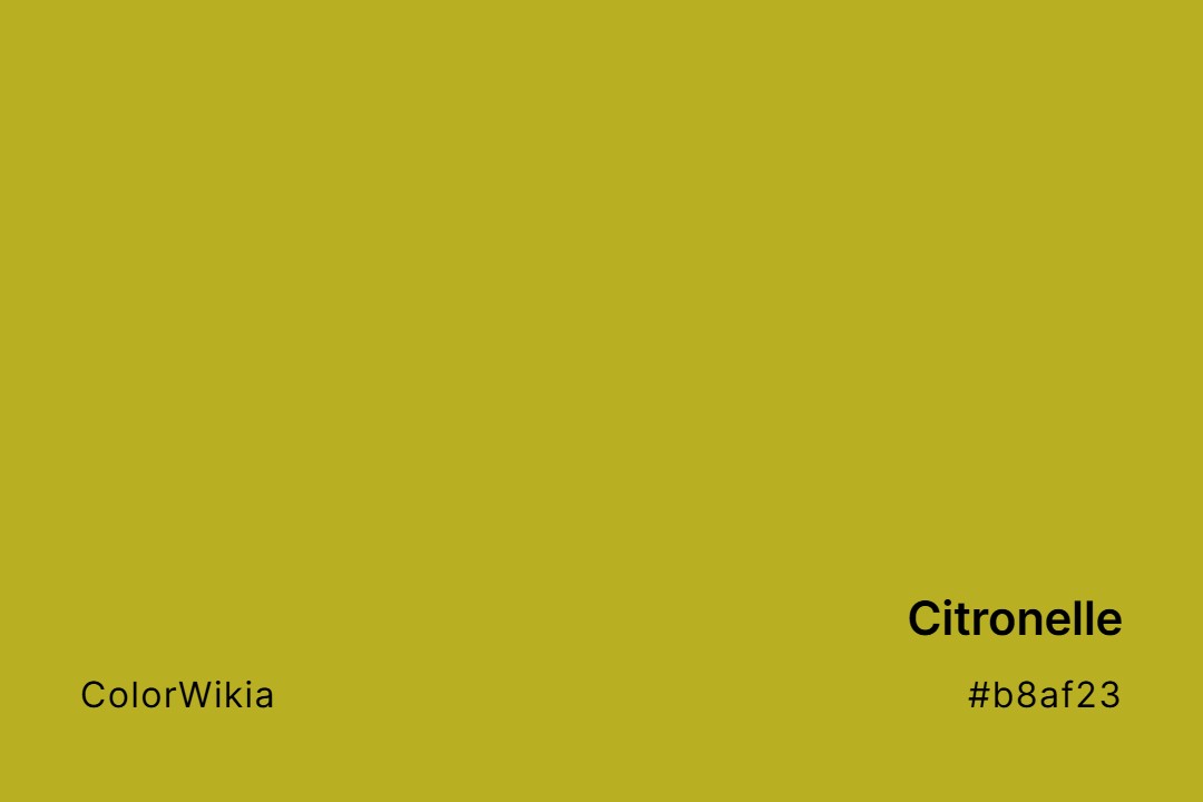 Citronelle Color – #b8af23: Codes and Complete Breakdown