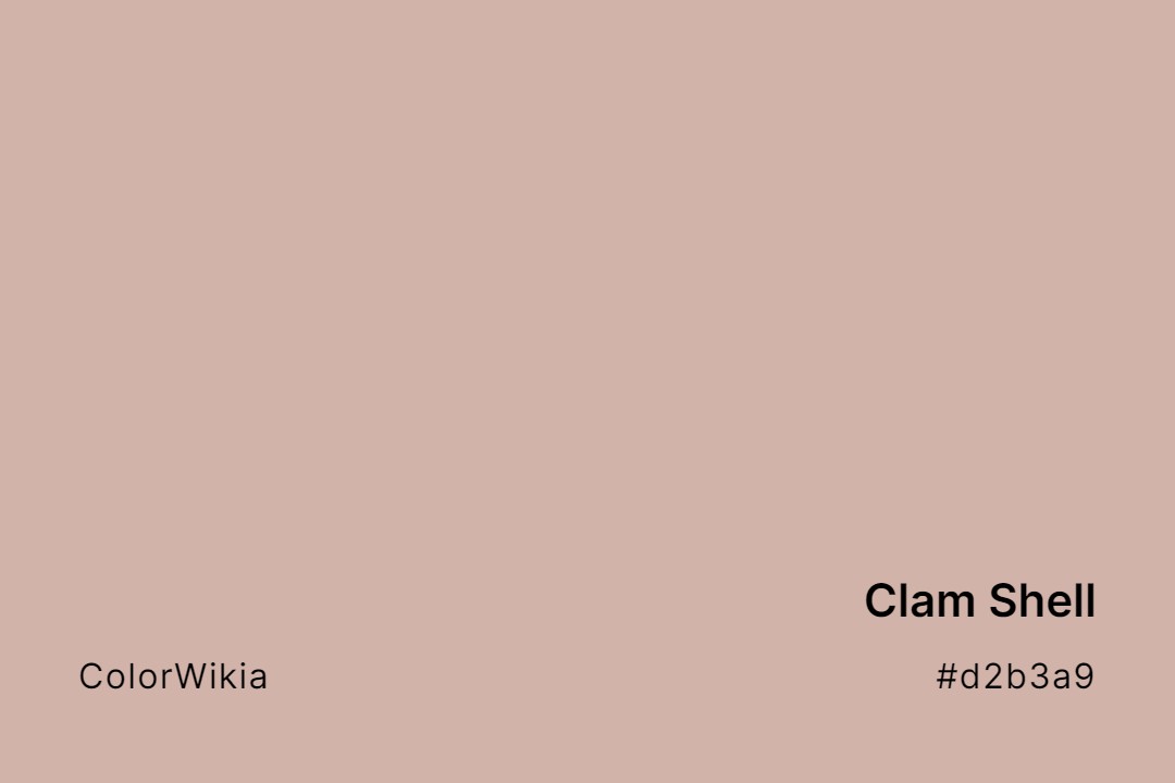 Clam Shell Color – #d2b3a9: Codes and Complete Breakdown