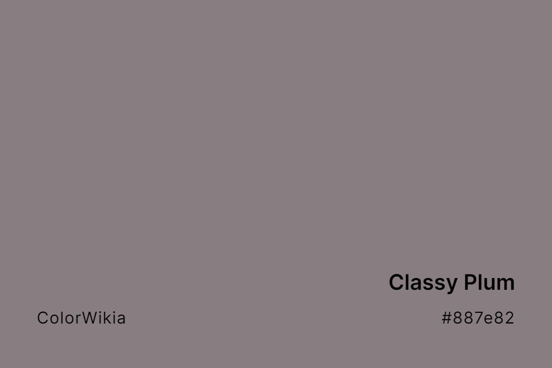 Classy Plum Color – #887e82: Codes and Complete Breakdown