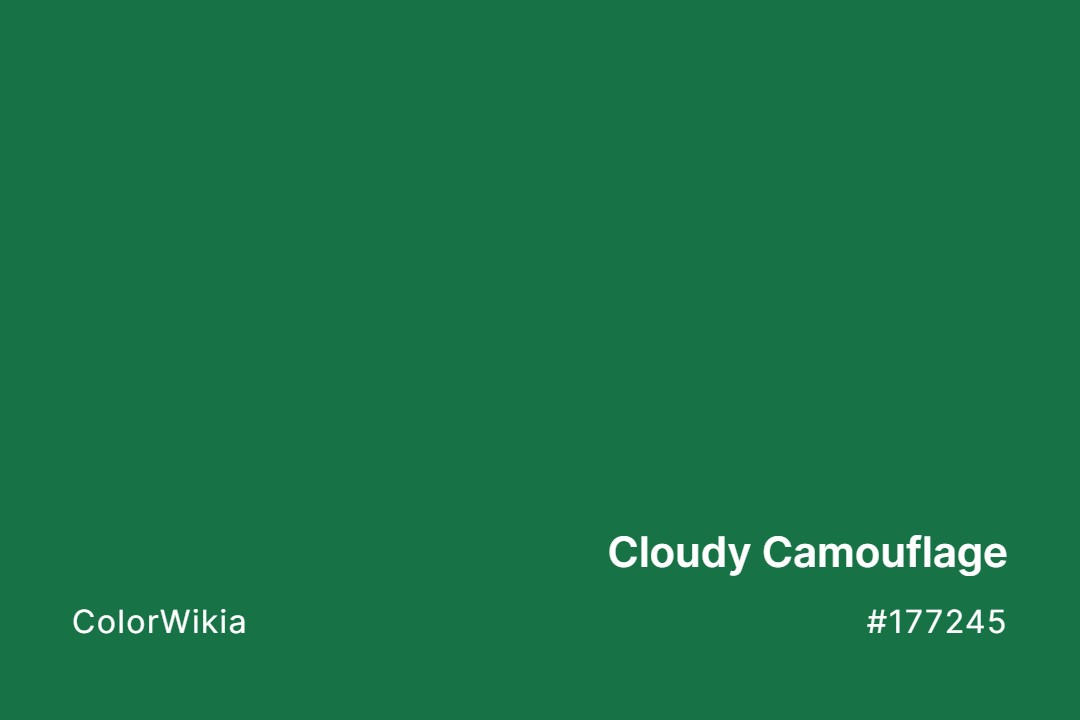 cloudy camouflage color 177245