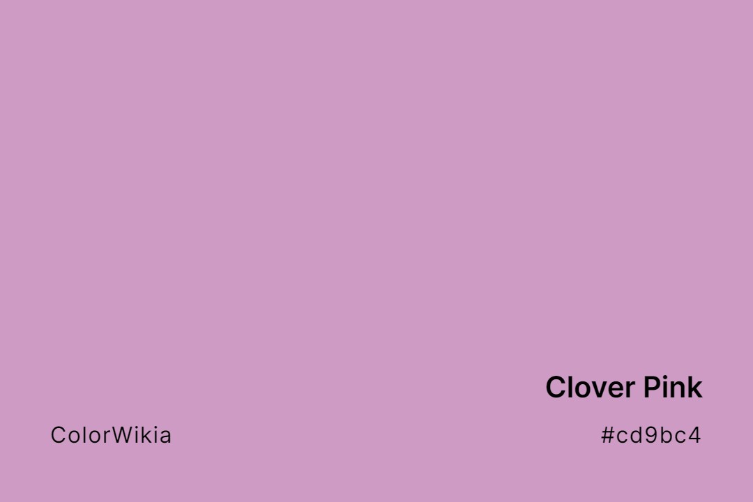 Clover Pink Color – #cd9bc4: Codes and Complete Breakdown