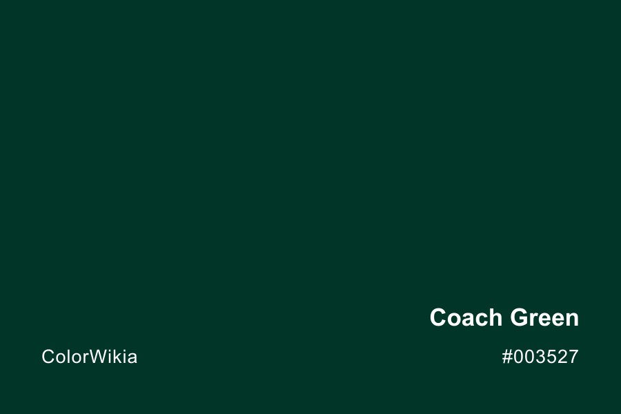 Coach Green Color – #003527: Codes and Complete Breakdown