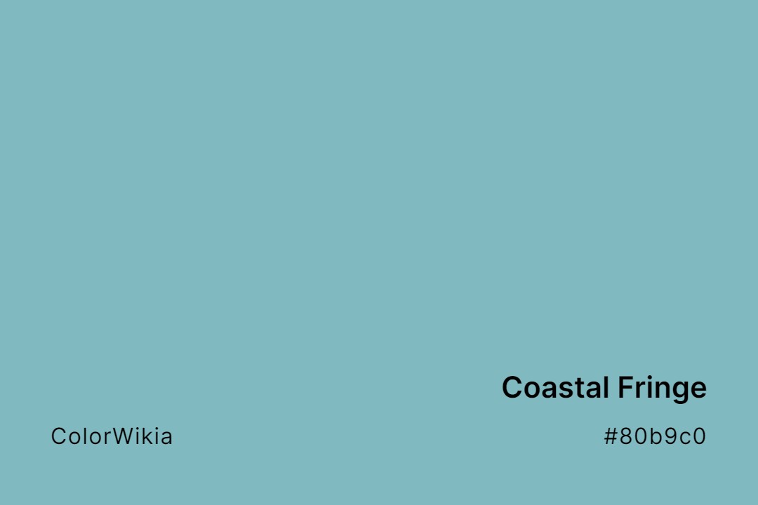 coastal fringe color 80b9c0