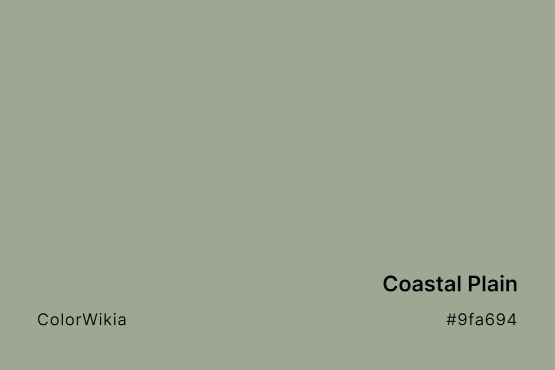 coastal plain color 9fa694