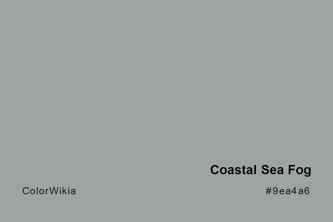 coastal sea fog color 9ea4a6