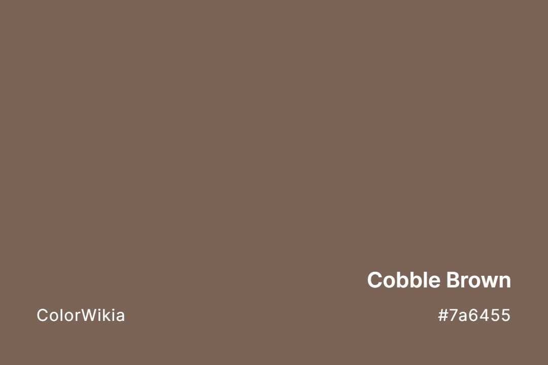 Cobble Brown Color – #7a6455: Codes and Complete Breakdown