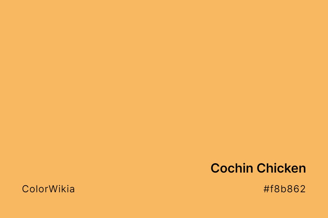 Cochin Chicken Color – #f8b862: Codes and Complete Breakdown