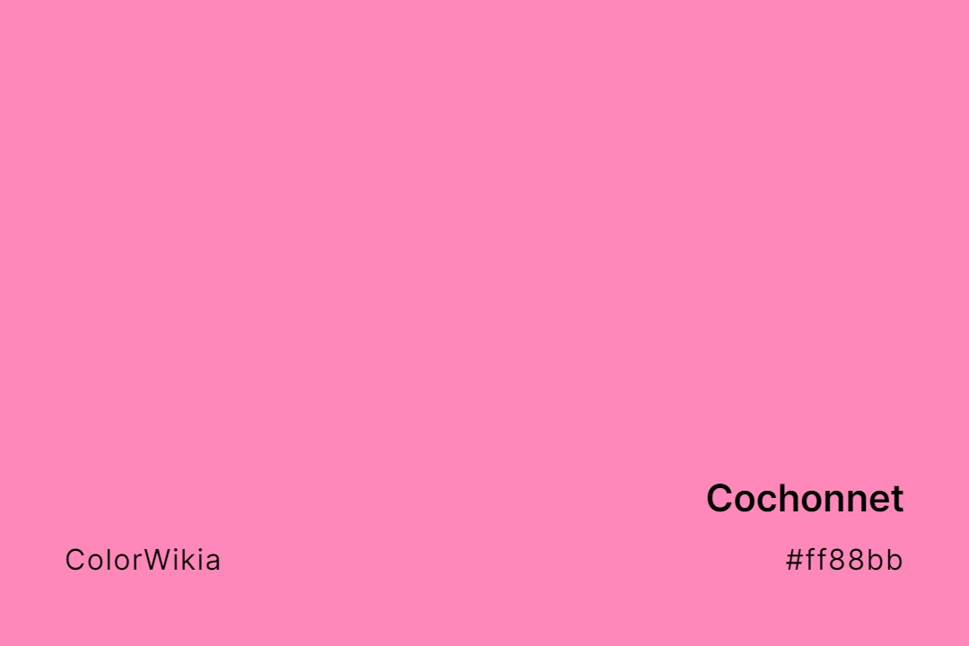 Cochonnet Color – #ff88bb: Codes and Complete Breakdown