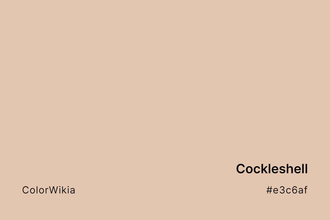 Cockleshell Color – #e3c6af: Codes and Complete Breakdown