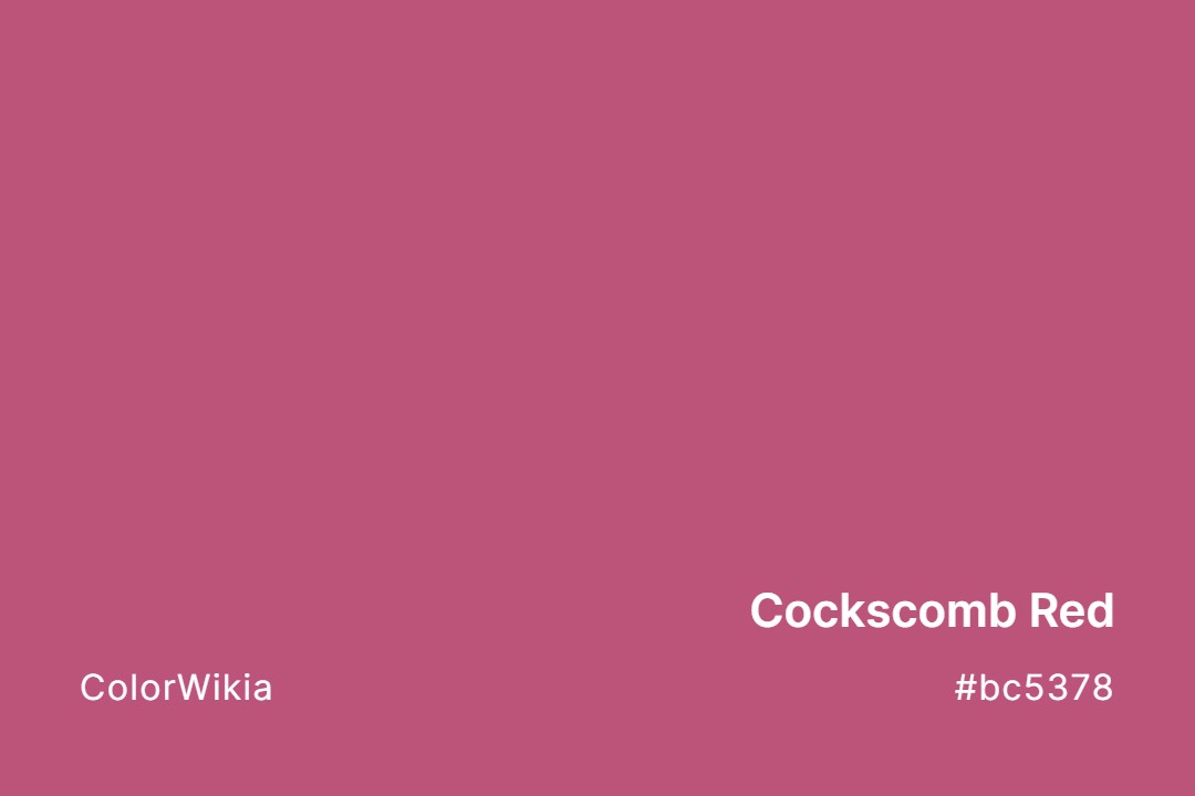 Cockscomb Red Color – #bc5378: Codes and Complete Breakdown