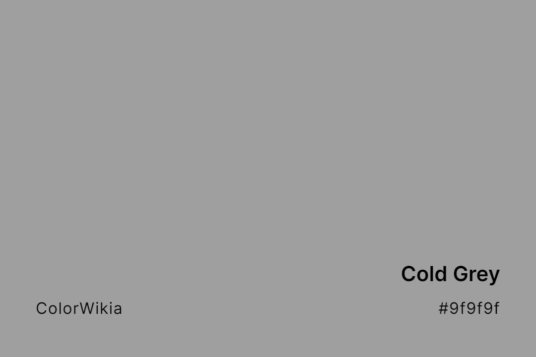 Cold Grey Color – #9f9f9f: Codes and Complete Breakdown