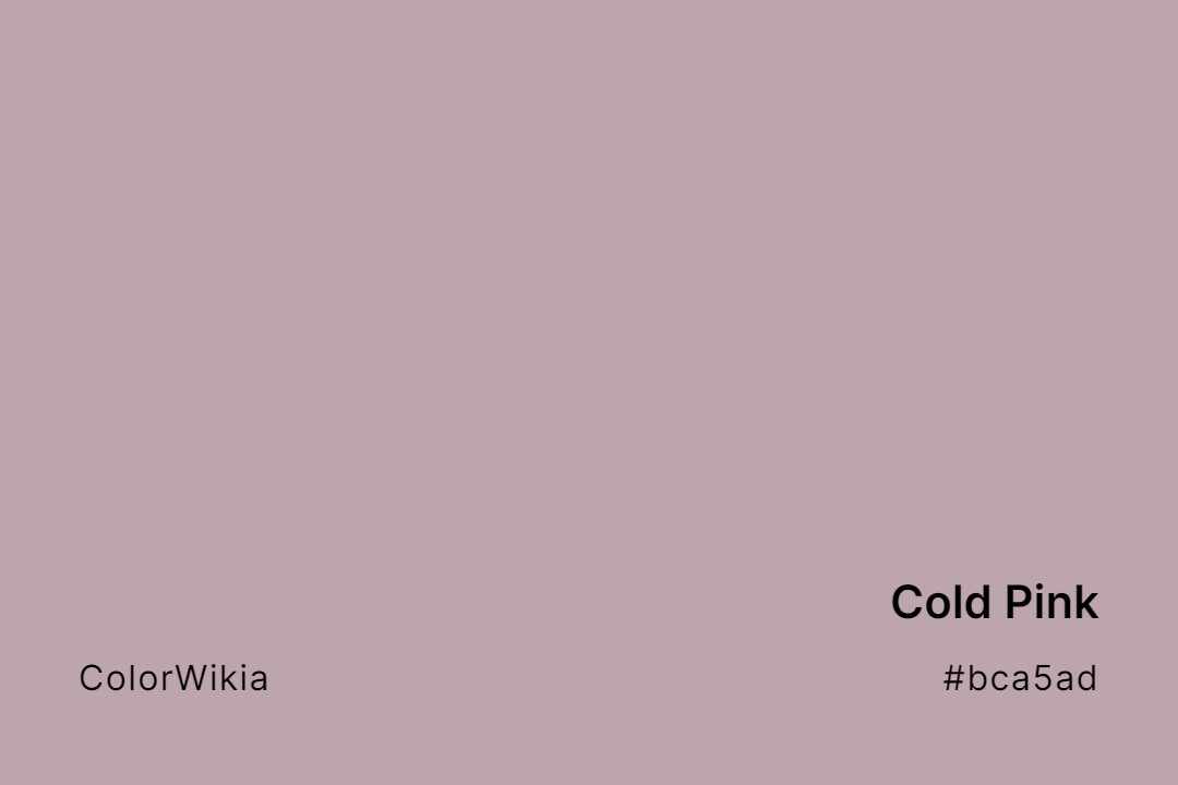 Cold Pink Color – #bca5ad: Codes and Complete Breakdown