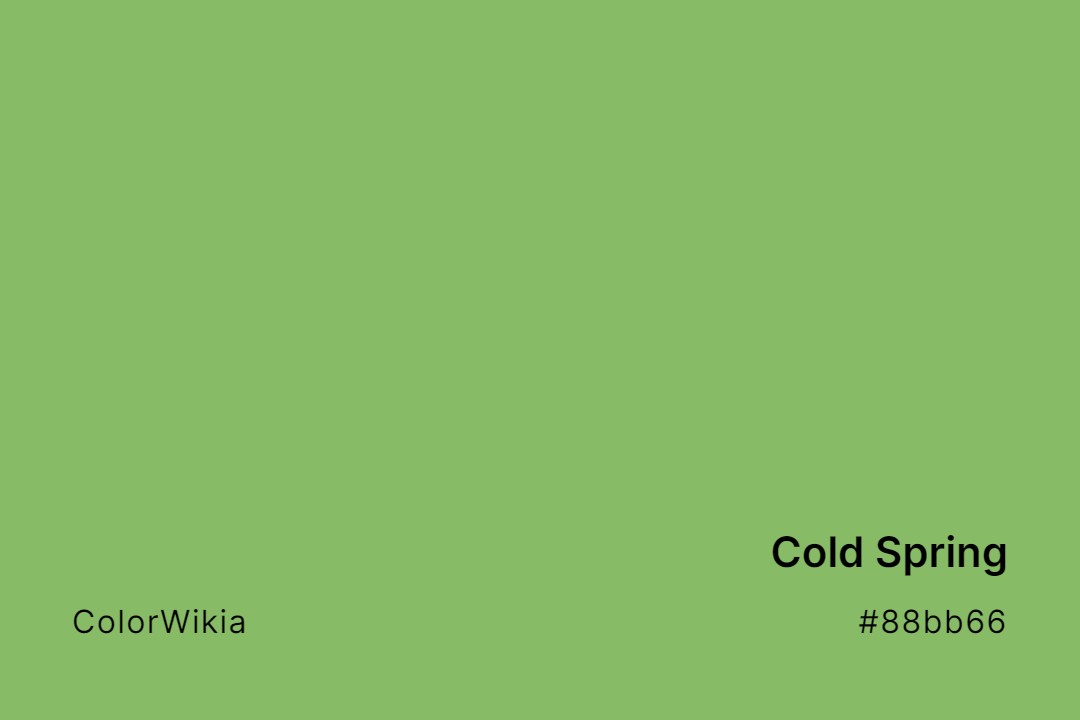 Cold Spring Color – #88bb66: Codes and Complete Breakdown