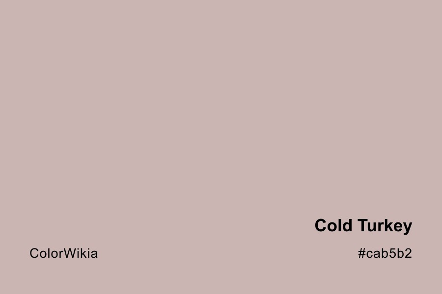 Cold Turkey Color – #cab5b2: Codes and Complete Breakdown