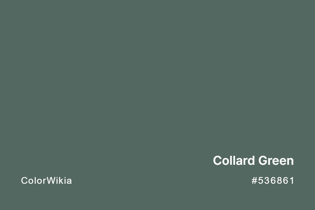 Collard Green Color – #536861: Codes and Complete Breakdown