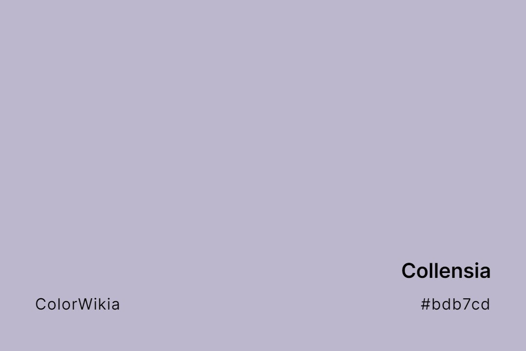 Collensia Color – #bdb7cd: Codes and Complete Breakdown