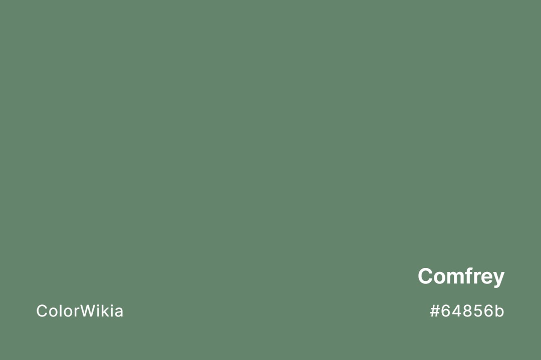 Comfrey Color – #64856b: Codes and Complete Breakdown