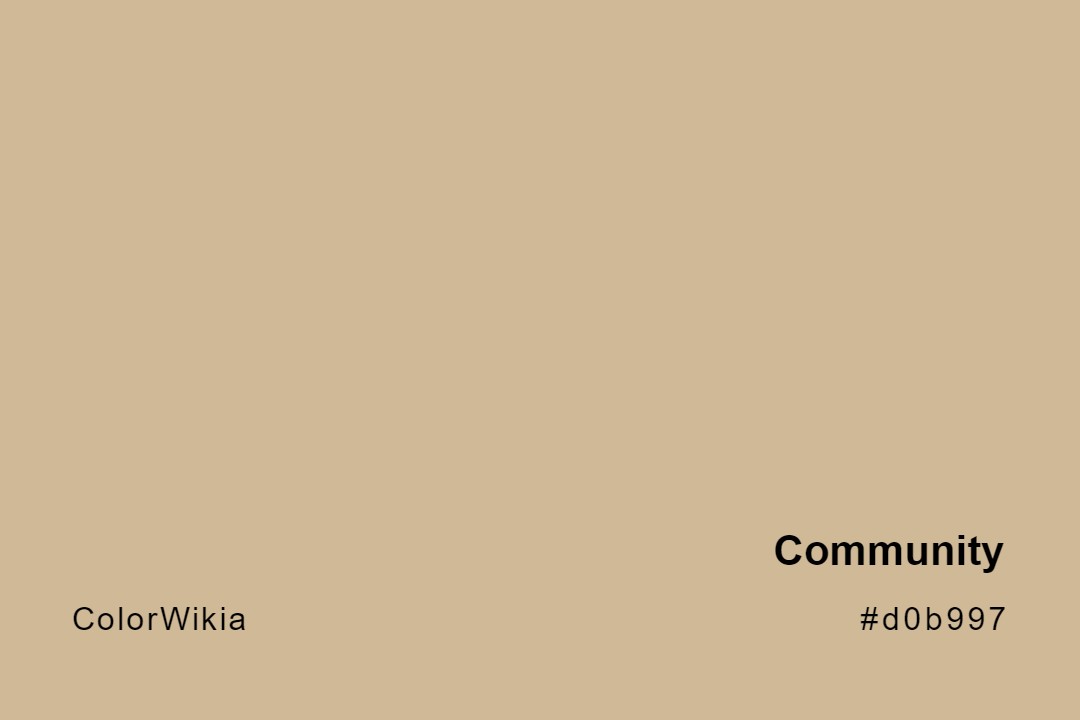 Community Color – #d0b997: Codes and Complete Breakdown