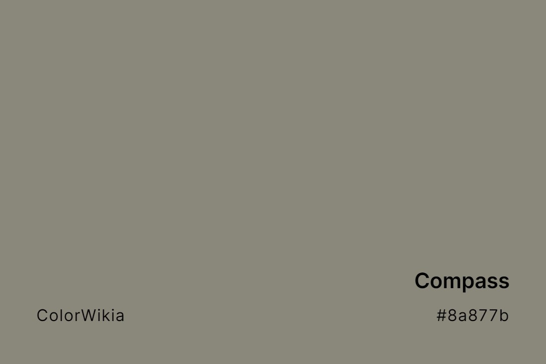 Compass Color – #8a877b: Codes and Complete Breakdown