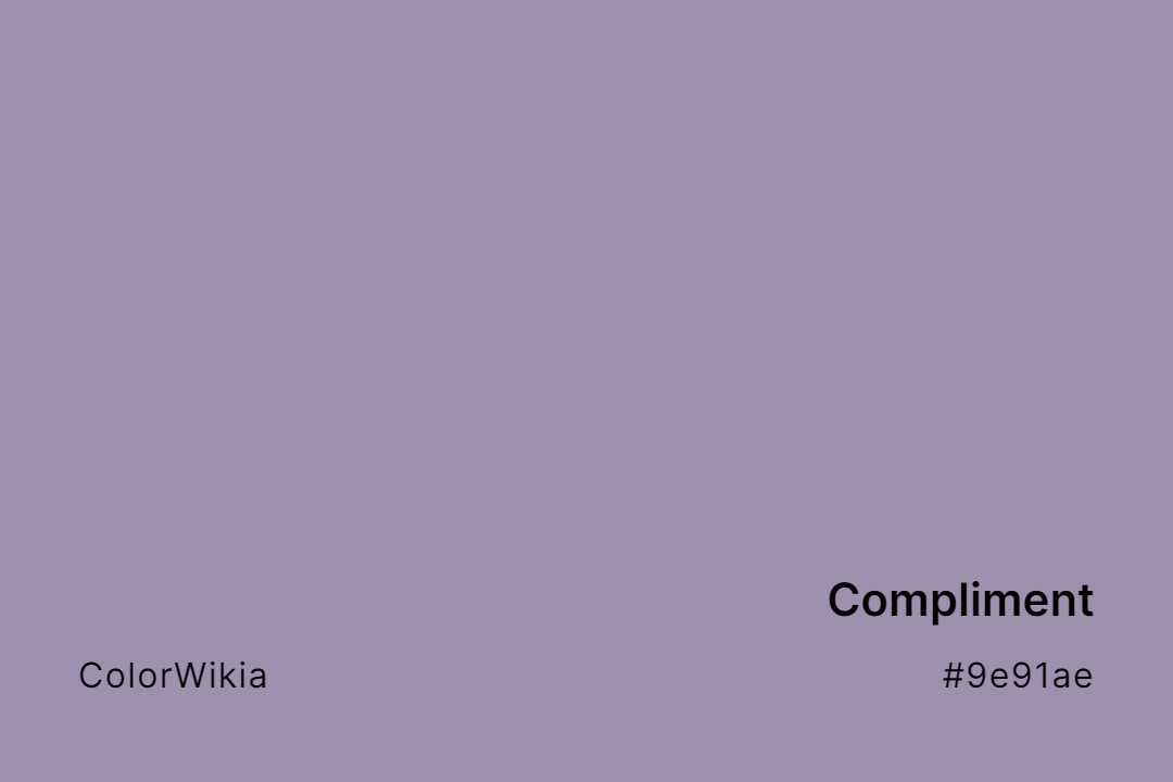 Compliment Color – #9e91ae: Codes and Complete Breakdown