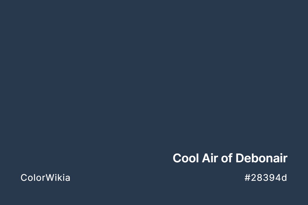 Cool Air of Debonair Color – #28394d: Codes and Complete Breakdown