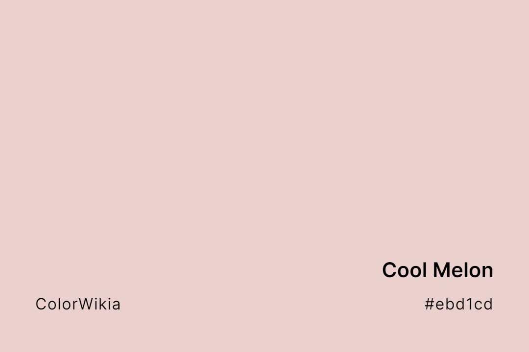 Cool Melon Color – #ebd1cd: Codes and Complete Breakdown