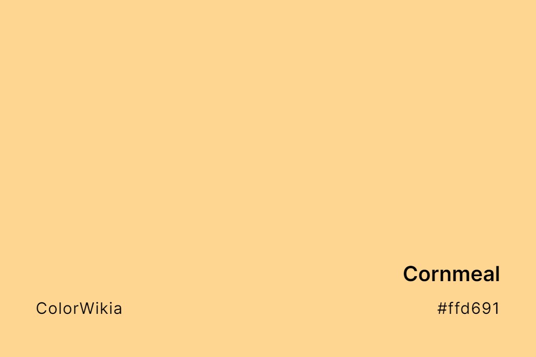 Cornmeal Color – #ffd691: Codes and Complete Breakdown