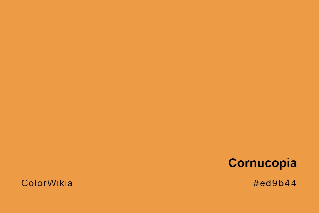 Cornucopia Color – #ed9b44: Codes and Complete Breakdown